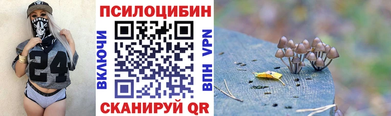 Псилоцибиновые грибы прущие грибы  Лодейное Поле 